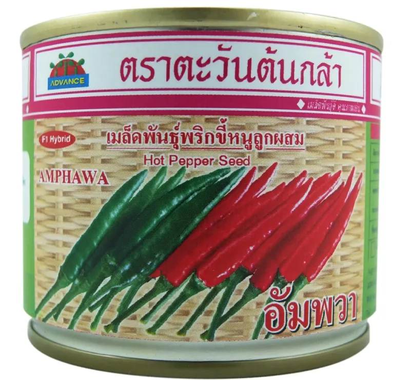 วิธีการปลูกพริก อัมพวา