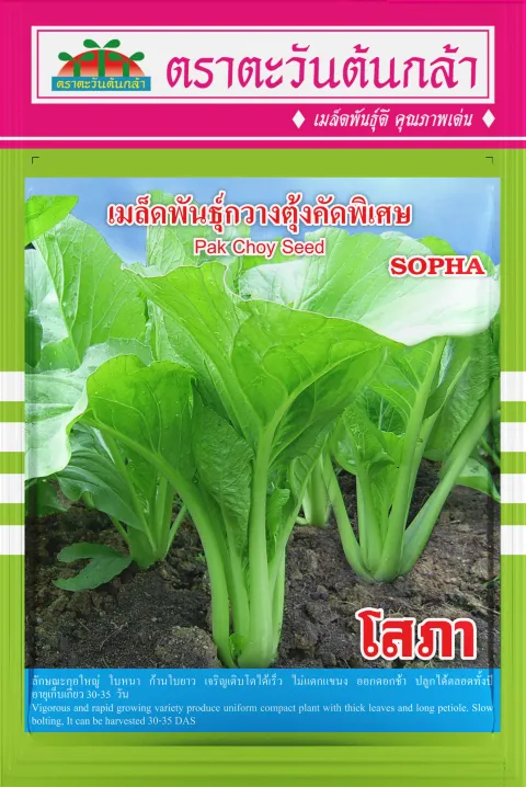 โสภา