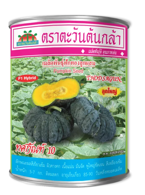 ทศกัณฑ์ 10