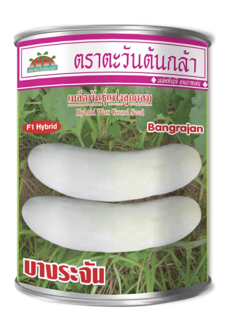 บางระจัน