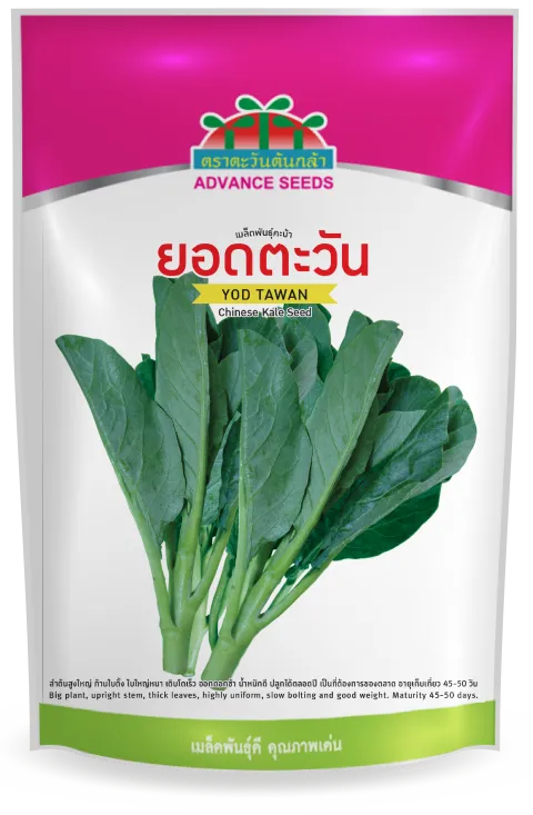 ยอดตะวัน