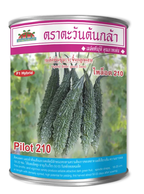 ไพล็อต 210