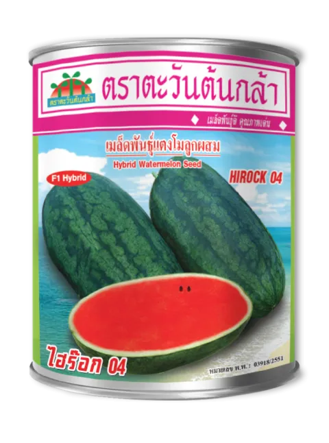 ไฮร็อค 04