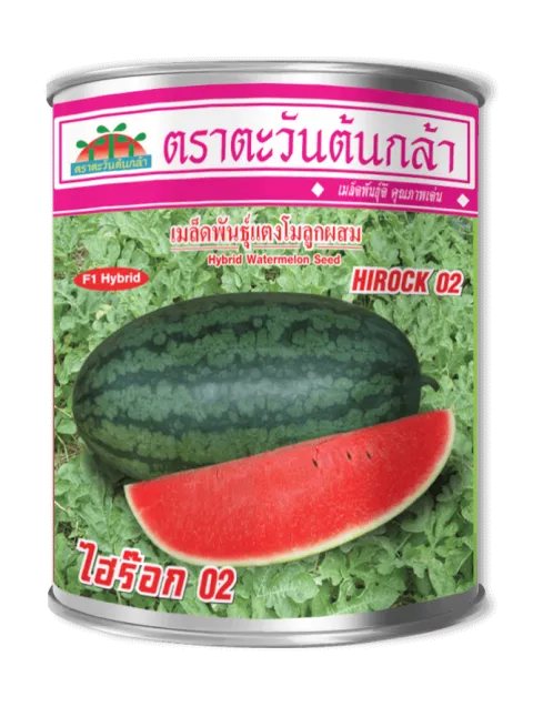 ไฮร็อค 02