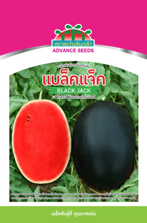 แบล็คแจ็ค