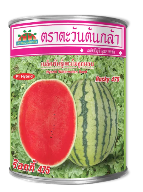 ร็อกกี้ 475