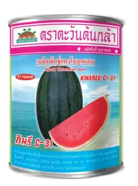 เมล็ดพันธุ์กินรี C-31 F1