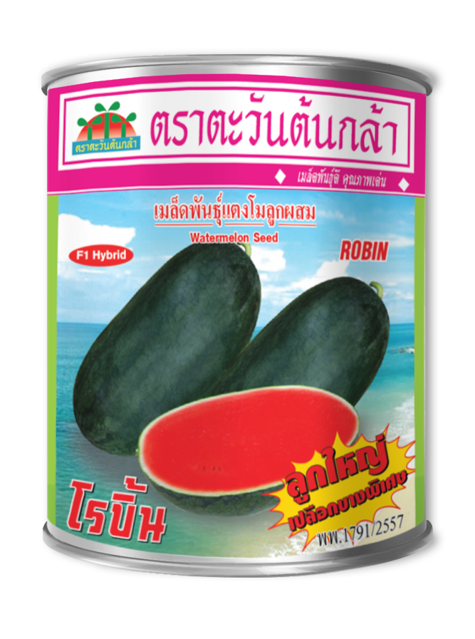 image โรบิ้น #02